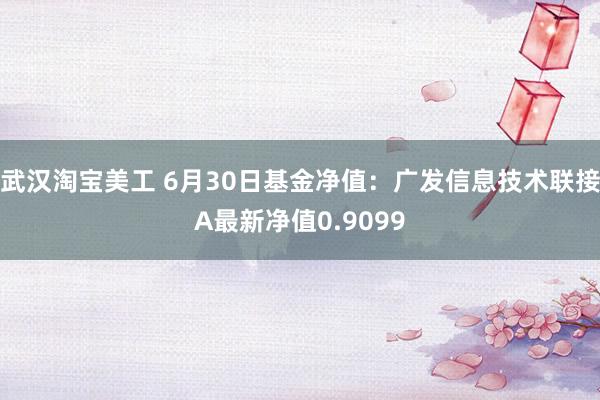 武汉淘宝美工 6月30日基金净值：广发信息技术联接A最新净值0.9099