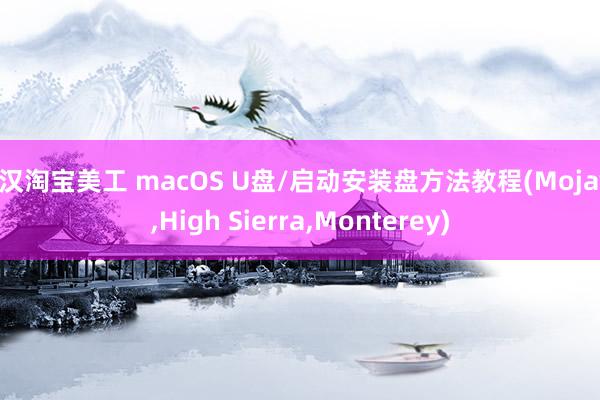 武汉淘宝美工 macOS U盘/启动安装盘方法教程(Mojave,High Sierra,Monterey)