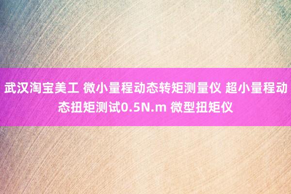 武汉淘宝美工 微小量程动态转矩测量仪 超小量程动态扭矩测试0.5N.m 微型扭矩仪