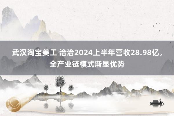 武汉淘宝美工 洽洽2024上半年营收28.98亿，全产业链模式渐显优势